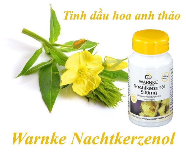 Tinh dầu hoa anh thảo Đức